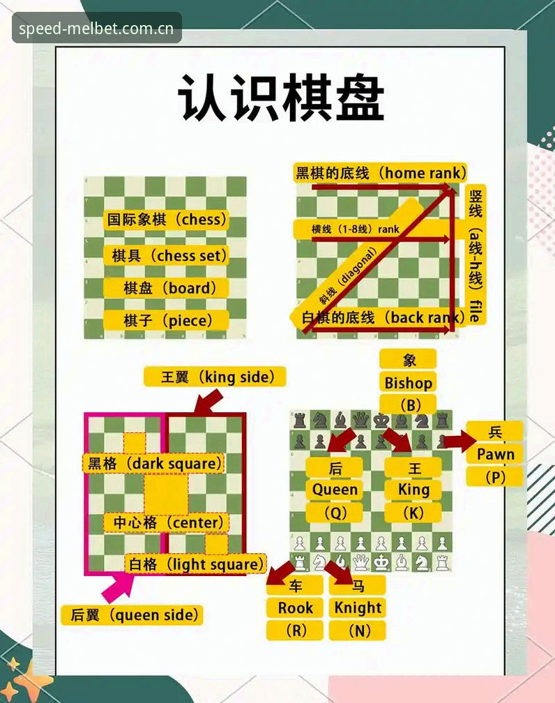 5种Melbet玩法技巧，让手机投注效率翻倍的实战方案