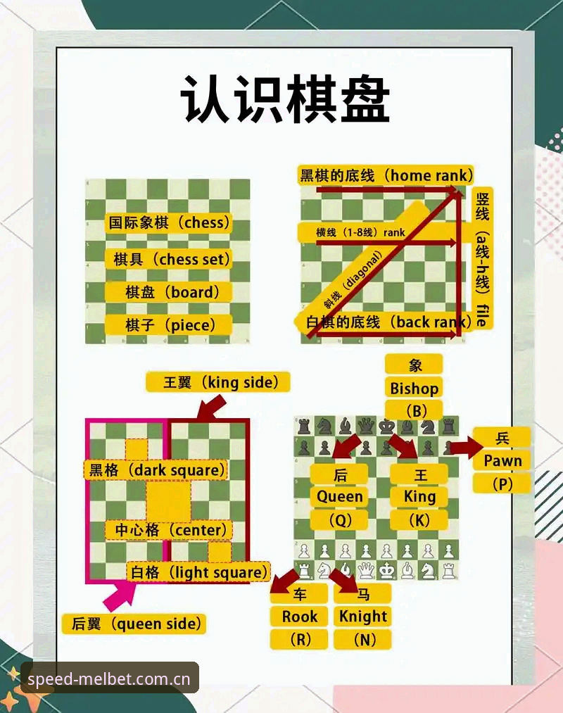 掌握Melbet玩法的5个核心技巧，手机极速版新手必看